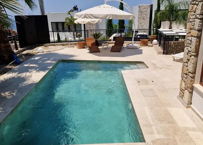 Brise Marine - With Sea View In Faralya Villa Fethiye