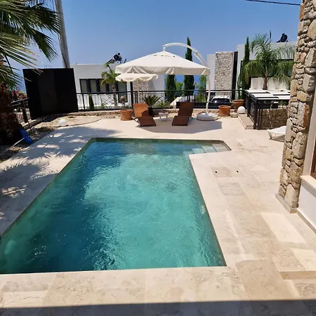 Brise Marine - With Sea View In Faralya Villa Fethiye