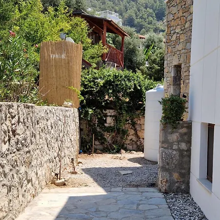 Vilă Brise Marine - With Sea View In Faralya Fethiye