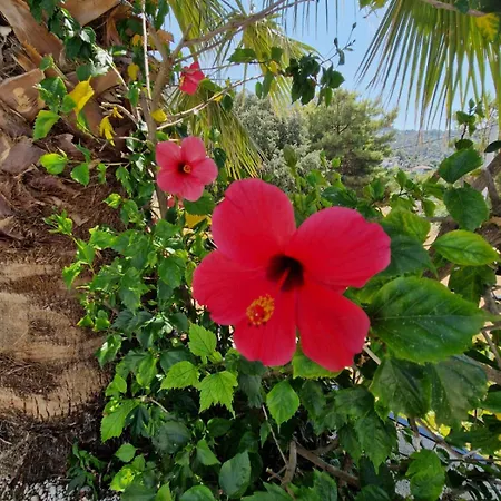 Villa Brise Marine - With Sea View In Faralya